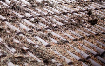 Hungerton roof cleaning companies